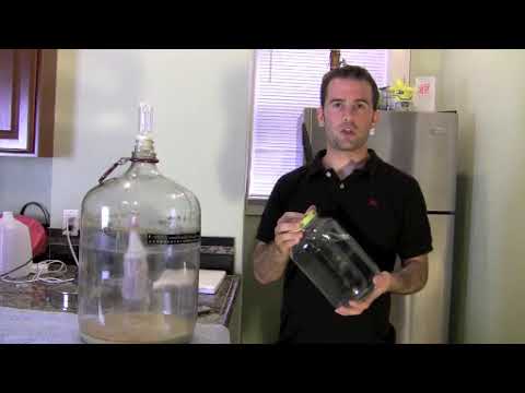 How To Wash Yeast For Homebrewing - Homebrew Academy - Brew Insight